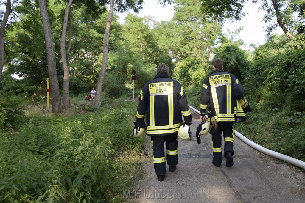 Waldbrand Koeln Hoehenhaus Hoehenfelder Mauspfad P023.JPG - Miklos Laubert